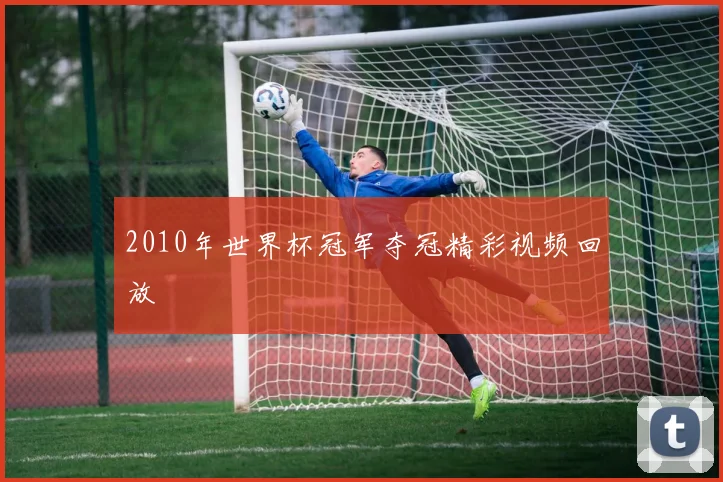 2010年世界杯冠军夺冠精彩视频回放
