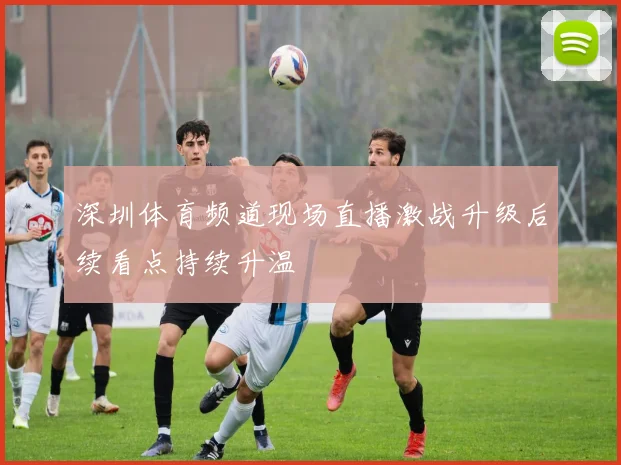 深圳体育频道现场直播激战升级后续看点持续升温
