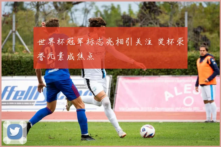 世界杯冠军标志亮相引关注 奖杯荣誉元素成焦点
