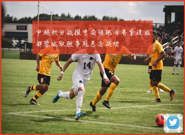 中超积分战报申花领跑海港紧追成都蓉城取胜争冠悬念延续