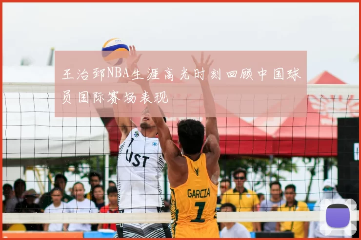 王治郅NBA生涯高光时刻回顾中国球员国际赛场表现