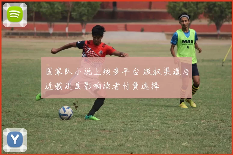 国家队小说上线多平台 版权渠道与连载进度影响读者付费选择